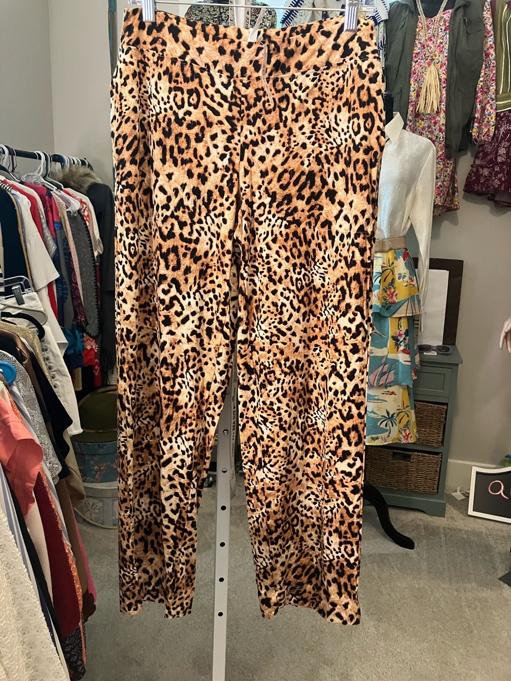 Leopard Print Wide-Leg Pants - Brown Animal Print
